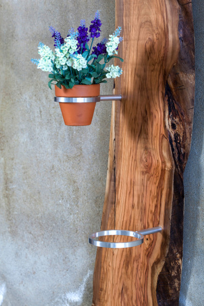 legno olivo per mobili