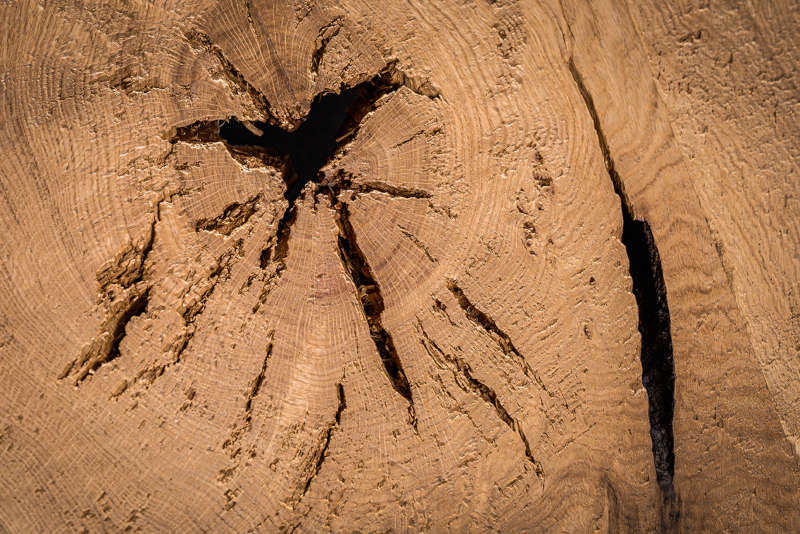 riconoscere il legno massello
